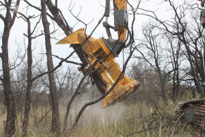 Une pelle hydraulique jaune équipée d'une tête de broyage Gilbert 3018 en action, coupant un arbre brûlé dans une zone boisée ravagée par le feu.